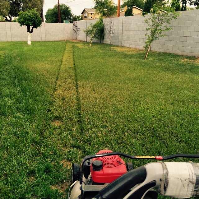 Traditional Lawn Care