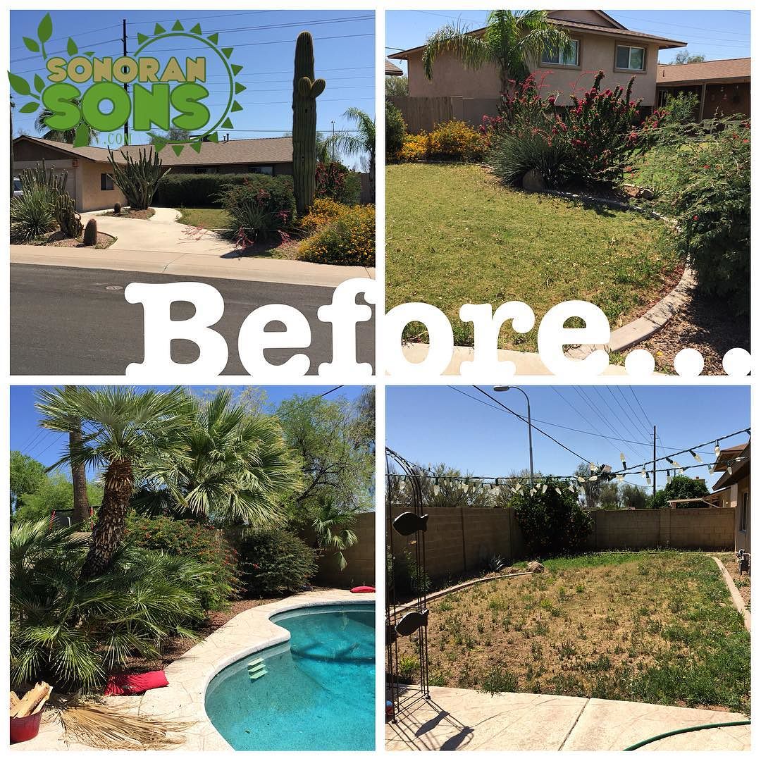 Check Out This Yard Clean Up In Phoenix